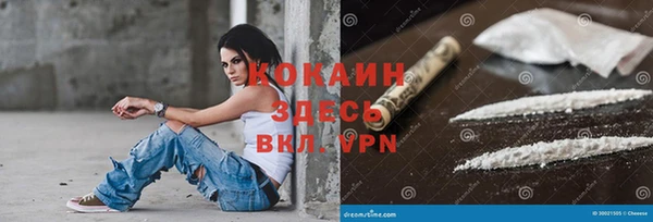 сатива Абаза
