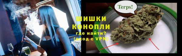 сатива Абдулино