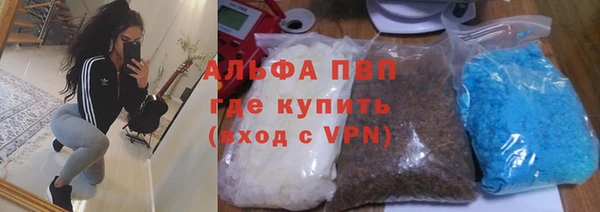 сатива Абаза