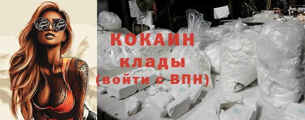 сатива Абаза