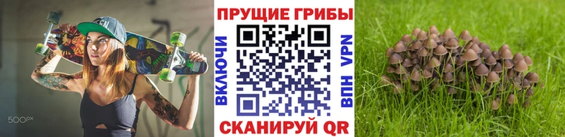 Галлюциногенные грибы мицелий  Алдан 